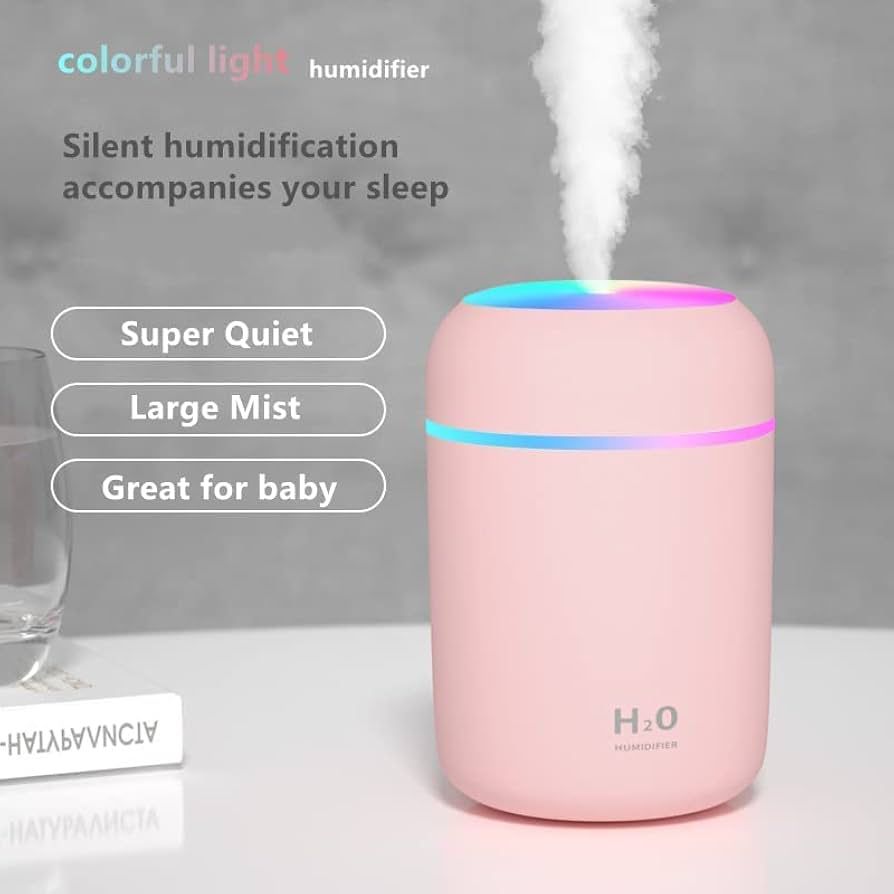 H2o ULTRASONIC HUMIDIFIER with TYPE - C  PORT